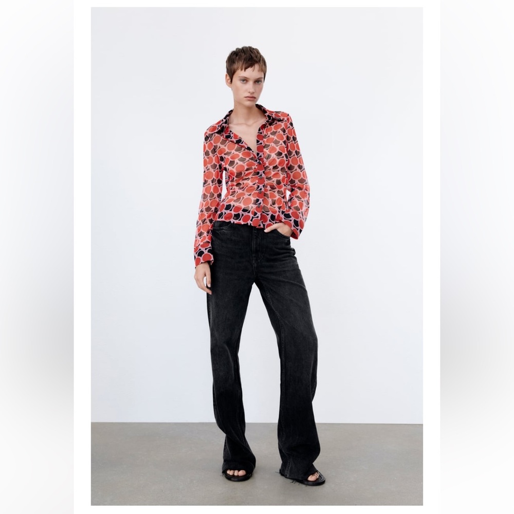 Zara Printed Tulle Blouse